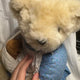 Vintage doll teddy bear
