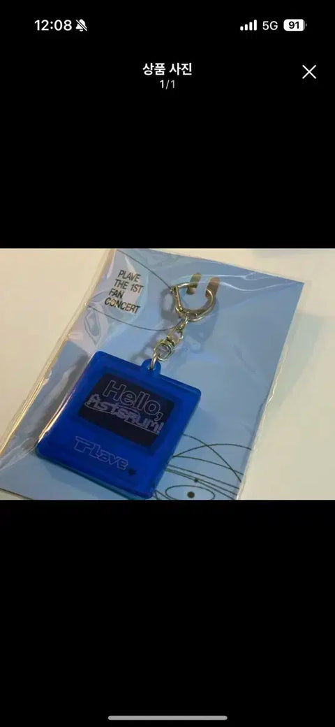 PLAYVE Official Goods Keyring Asterum