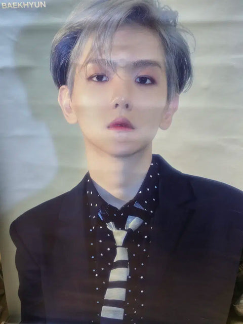 EXO Baekhyun Wall Scroll Poster