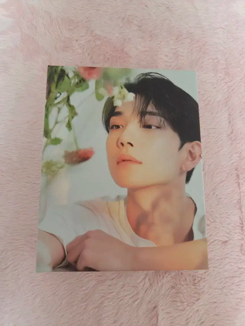 Bán gấp/gói) Bìa đựng phiên bản Carat Album Seventeen (không bao gồm thẻ ảnh)