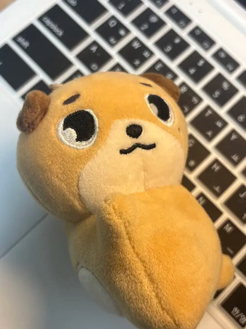 Below Cost) DAY6 Denimals Hand Warmer, Don, KCON MD, Dowoon