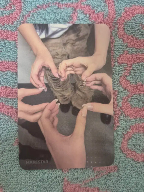 Kids ShuHua photocard i sway Meks unreleased photo