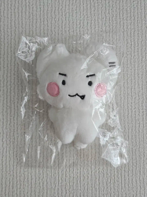 PLAVE Eunho unopened Amgeunggae