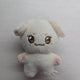 IVE Lee Seo fan doll Tteokko Tteokko for sale Yujin Gaeul Rei Liz photocard bulk sale
