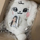Túi ôm IVE có kèm thẻ ảnh Wonyoung