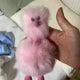 Cozymoji Pink Plush Doll