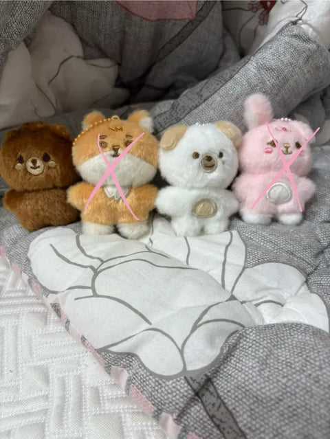 Giảm giá bánh Petit Mals DAY6