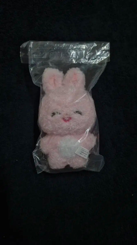 ITZY Yuna photocard Shinbbogeul 10cm doll