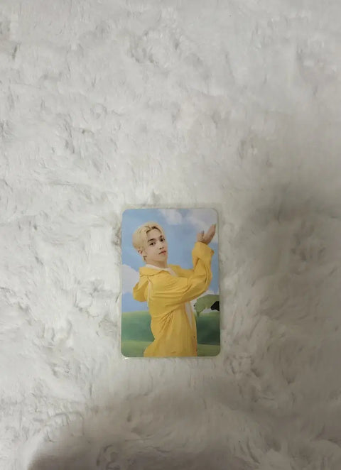 Thẻ ảnh mười bảy