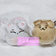 ENHYPEN Jake Sunoo Doll Enccomies Simjeti Sunpeach 2-piece Set New
