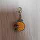 One Piece Ace Devil Fruit True Flame-Flame Fruit