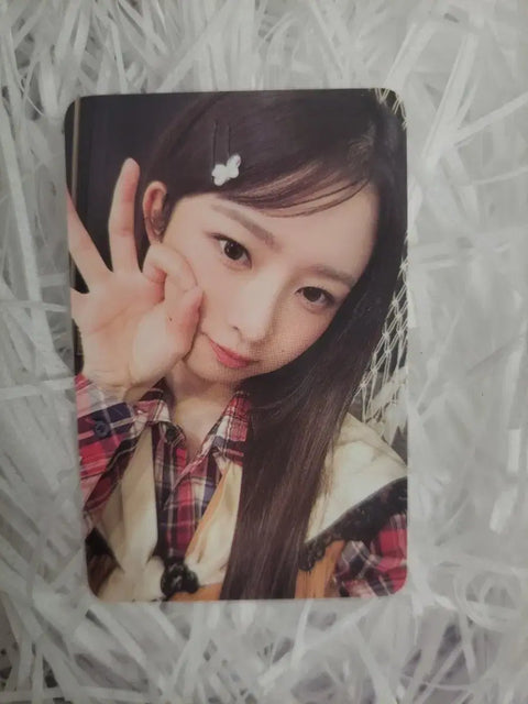 IVE encore concert Dive Zone Rei concert photocard transfer