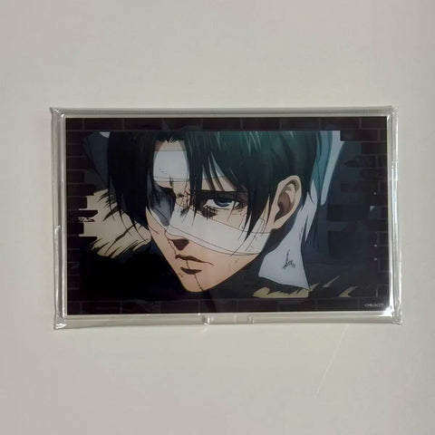 Attack on Titan Levi Acrylic Stand