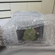 Lost Ark Santa Mokoko Mug for Sale