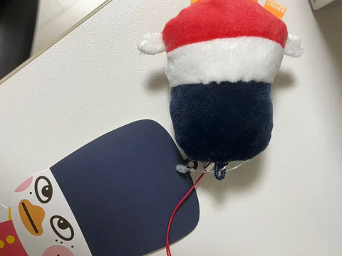 Ddolbyeong Keychain