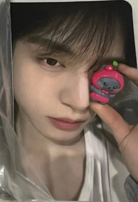 Chuyển nhượng Photocard hình trái cây Zeroni Kim Jiwoong