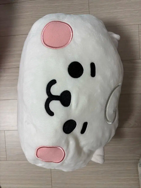 bt21 RJ cushion