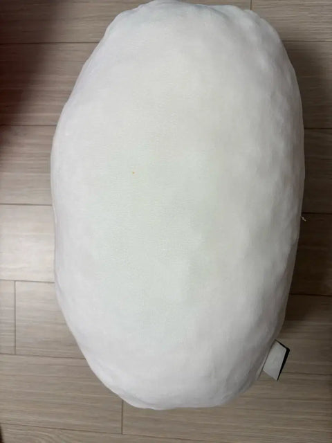 bt21 RJ cushion