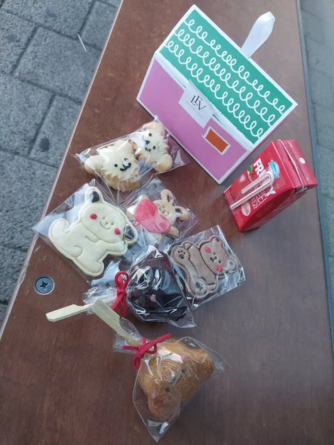 NMIXX Bae fan meet reverse support photos