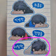 Garbage Time, chubby cheeks Heo Chang-hyeon