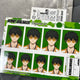 Winbre Togame ID photo