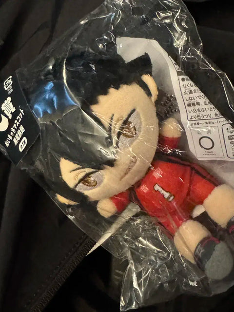 Haikyu!! Ichiban Kuji Nuimoshi Mascot Kuroo Tetsuro