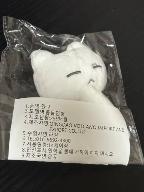 BOYNEXTDOOR Bvnd Seongho doll Nuppi Cat transfer