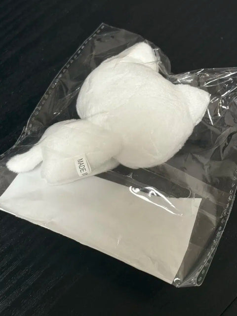 BOYNEXTDOOR Bvnd Seongho doll Nuppi Cat transfer