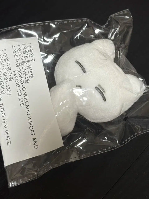 BOYNEXTDOOR Bvnd Seongho doll Nuppi Cat transfer