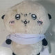 Sea otter flurry nui