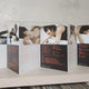Two Shinhwa DVDs