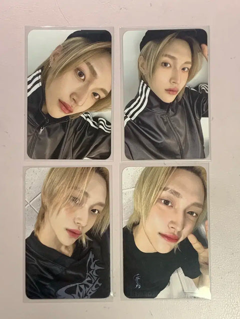 Rise Wonbin photocard all together