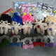 PlayVe StarEve Doll Bundle