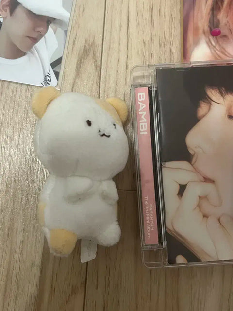 EXO Baekhyun photocard, light stick + freebies bundle
