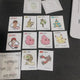 Ddibuddbu Pokemon, Seventeen, LG Twins, Tigers