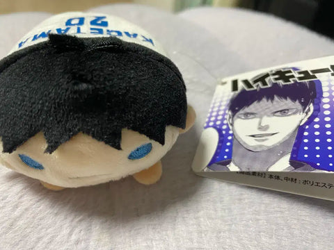Haikyuu Kageyama Tobio Norukyara