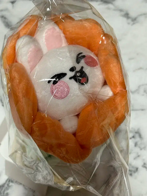 Stray Kids Kindergarten Lee Know Leebit Japan Pop-Up Doll Pencil Case