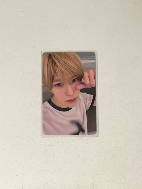 Enwish Surf Bunjul Songbird Pop Pop Izzuee Yeongtong In-person Fansign Sion Unreleased Photocards Transfer