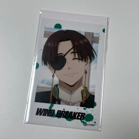 Windbreaker Polaroid