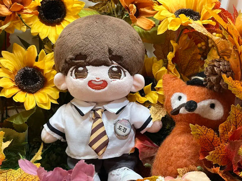 Seventeen Dokyeom doll Holli-do and doll clothes as a set, for sale.