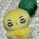 SEVENTEEN Vernon doll Choi Verbook transfer