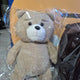 Selling Ted Pepero Bear plushie!
