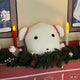 Person who will use a short doll cushion with a Ga-Na-Di face.