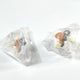Unopened | Natsume's Book of Friends Nyanko-sensei Gacha Figure Keychain Strap