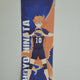 Haikyuu Poster Hinata Shoyo