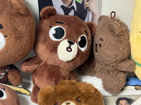 DAY6 Sungjin Backpack Charm Room Forever Young Japan