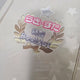 Lucky Star Illustration Book Special Booklet