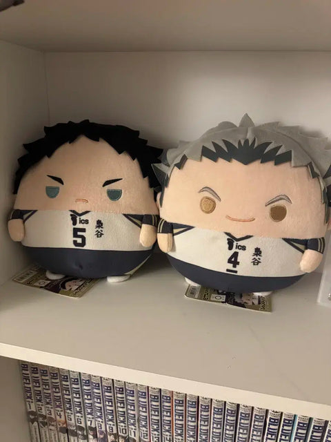 Bokuto Koutarou, Akaashi Keiji, Fuwa M, Bulk Transfer, Haikyu!! Goods, Plushie