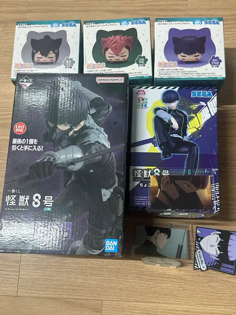 Hoshina Figure Goods Set
