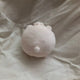 ILLIT Wonhee doll dumpling ham only